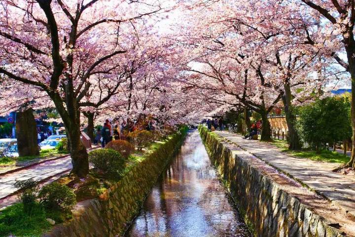 1. Camino de la sabiduría en Kioto, Japón. Foto - JAKYO