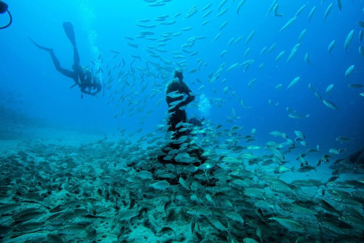 1. Museo Atlántico. Foto - Dive College Lanzarote (Facebook)