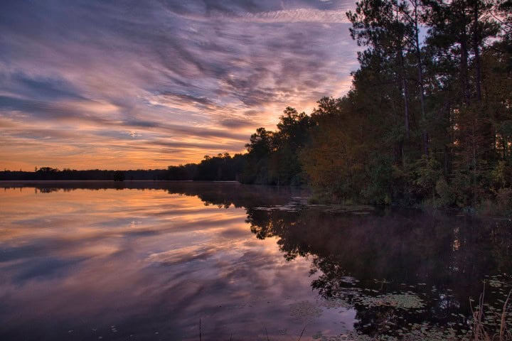 1. Parque Nacional Congaree. Foto - r/NationalPark (Reddit)