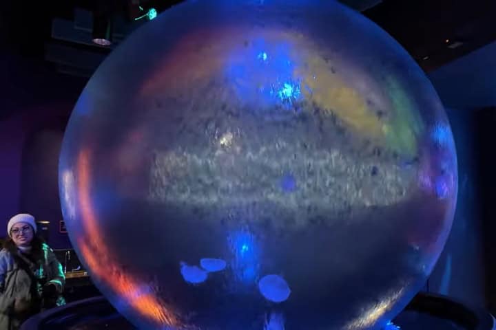 10. Esfera de cascada con medusas en su interior. Foto - Laughing Place (YouTube)