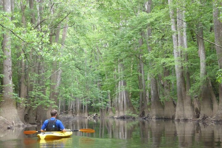 12. Paseo por kayak en el Parque Nacional Congaree. Foto - Congaree National Park (Facebook)