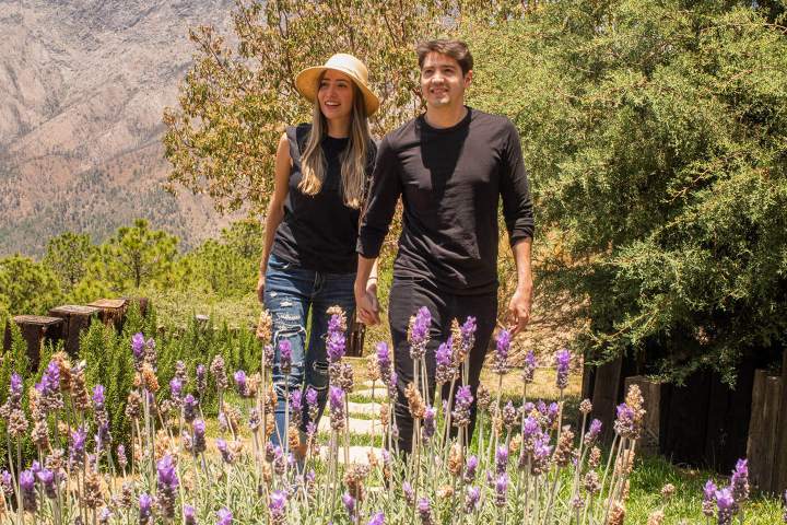 14. Pareja caminando en las áreas verdes de Vive Libre. Foto - vive-libre.mx