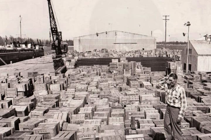 Cargamento de cajas compradas por William Randolph Hearst. Foto - benzozia (Blogger)