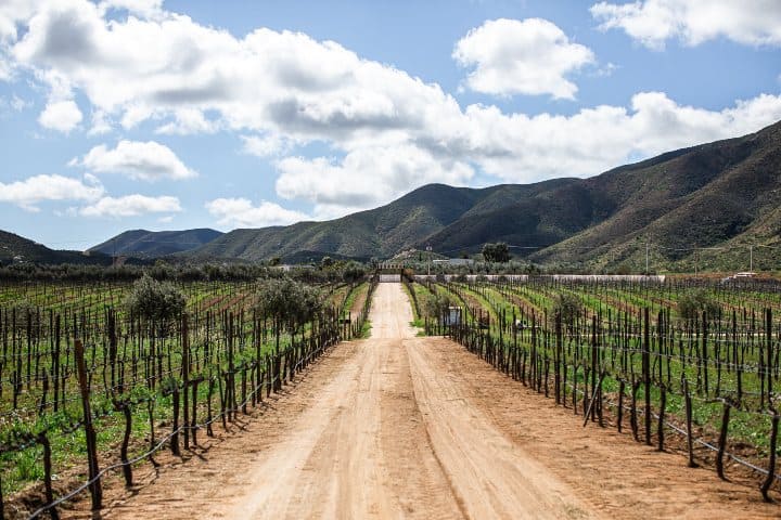 6. Valle de Guadalupe. Foto - Becoming Mexican