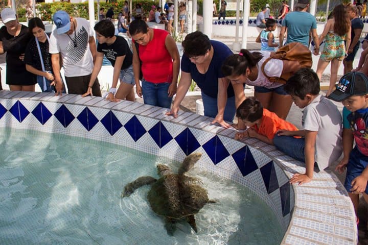 7. El Tortugario de Cuyutlán. Foto - Mexico News Daily