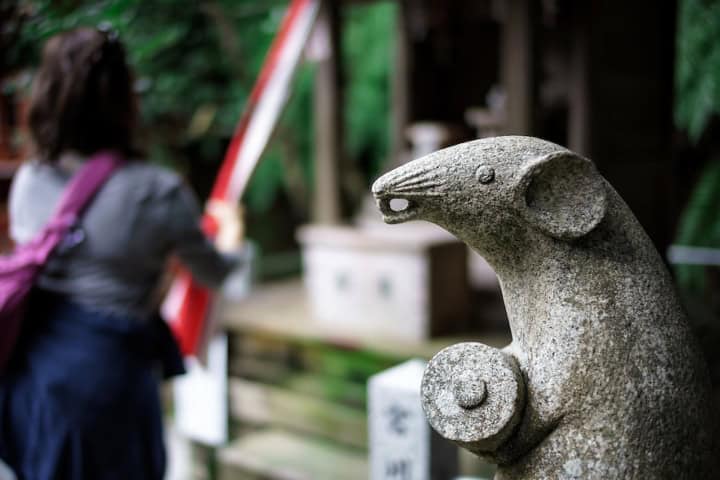 7. Ratón custodiando la entrada del Templo Otoyo Jinja del Camino de la Filosofía en Kioto. Foto - Tony Wu Underwater Photography