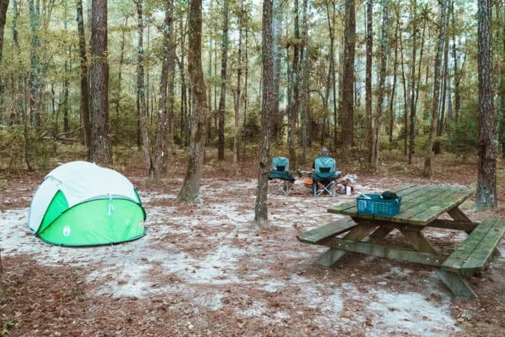 7. Zona de camping en Congaree. Foto - Dalton's Destinations