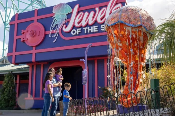 8. Escultura de Medusa Melena de León en SeaWorld. Foto - FOX 5 San Diego