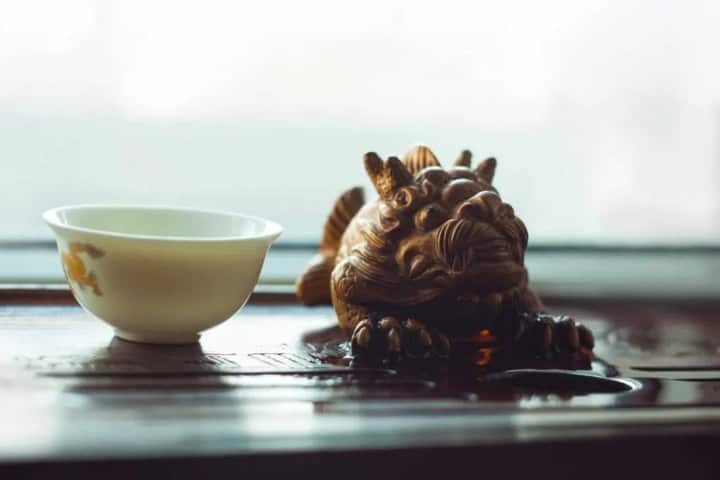 9. Mascota del té. Foto - Escuela Mexicana de Té