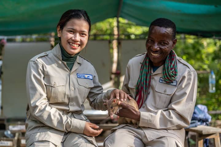 9. Equipo de APOPO con una HeroRAT. Foto - APOPO (Facebook)