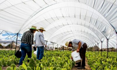 CIRCUITO DEL NOPAL EN SALAMANCA