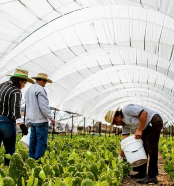 CIRCUITO DEL NOPAL EN SALAMANCA