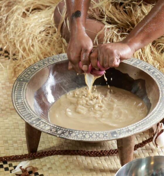 KAVA LA BEBIDA EMBRIAGANTE QUE NO TIENE ALCOHOL