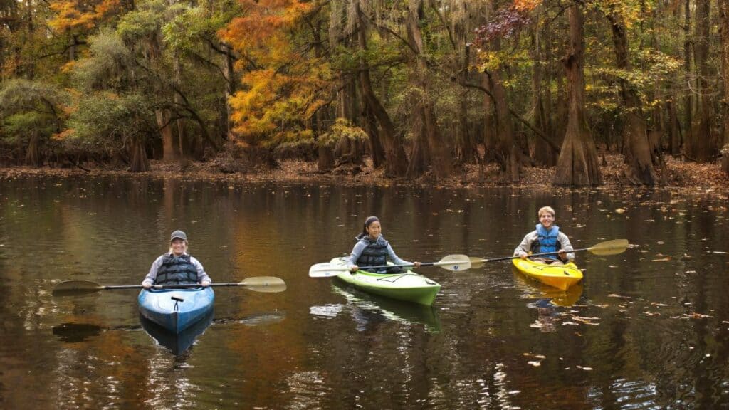 PARQUE NACIONAL CONGAREE