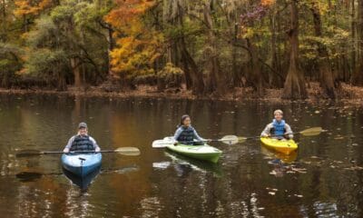 PARQUE NACIONAL CONGAREE