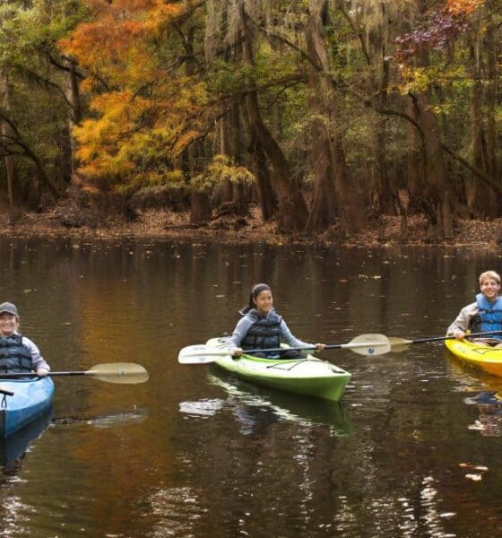 PARQUE NACIONAL CONGAREE