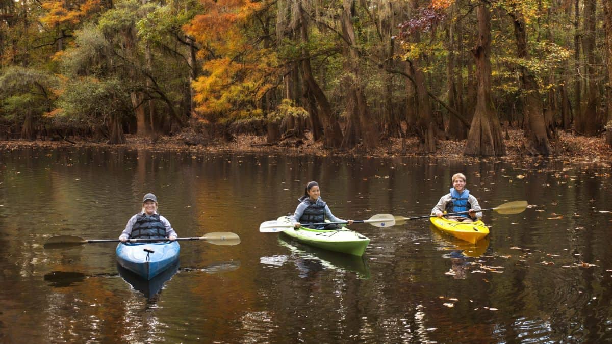 PARQUE NACIONAL CONGAREE