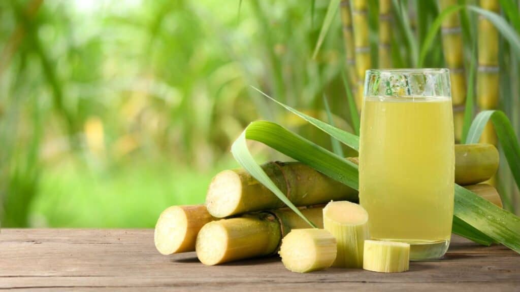 JUGO DE CAÑA DE AZÚCAR EN EGIPTO