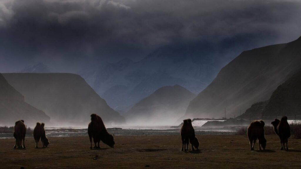 LA CORDILLERA DE PAMIR