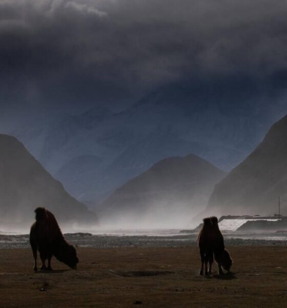 LA CORDILLERA DE PAMIR