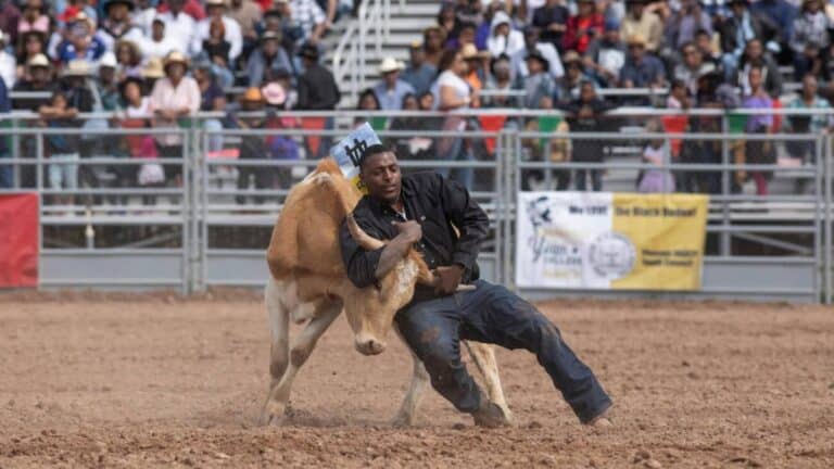 El Rodeo Tenerife El RODEO AFROAMERICANO: Un legado que GALOPA en la HISTORIA | El Souvenir