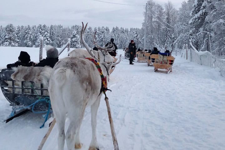 10. Paseo en trineo en Reindeer Lodge en Jukkasjärvi, Suecia. Foto - Booking.com (Facebook)