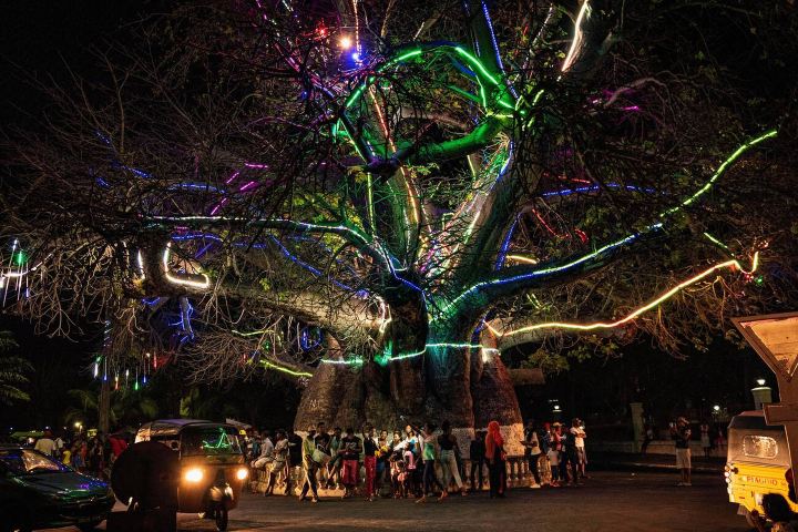 15. Viejo baobab decorado en África. Foto - Alamy