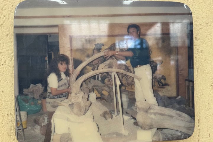 23. Fotografía de la instalación del mamut en el Museo Comunitario de San Pablo de las Salinas. Foto - Alí Diosdado