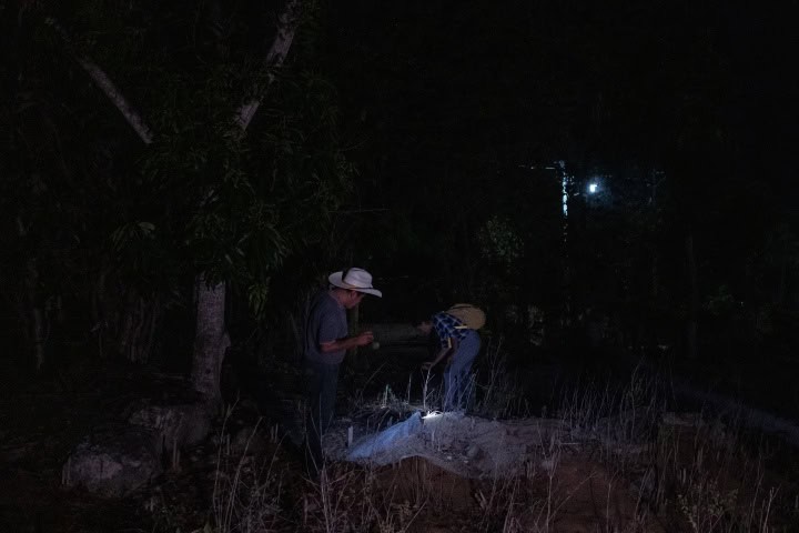 3. Recolectores buscando chicatanas en la noche. Foto - Masienda