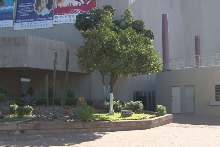 3. Árbol de la amistad entre japoneses y sinaloenses. Foto - TVP