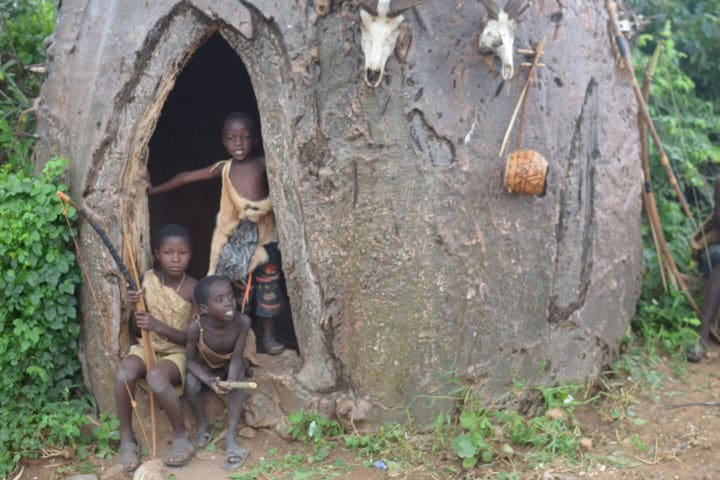 3. Casa en árbol baobab del grupo étnico hanzabe en Tanzania. Foto - Wikimedia Commons