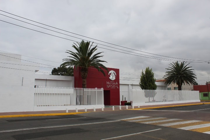 4. Museos de Historia Natural de Ecatepec. Foto - Museo de Historia Natural de Ecatepec 2025-2027 (Facebook)