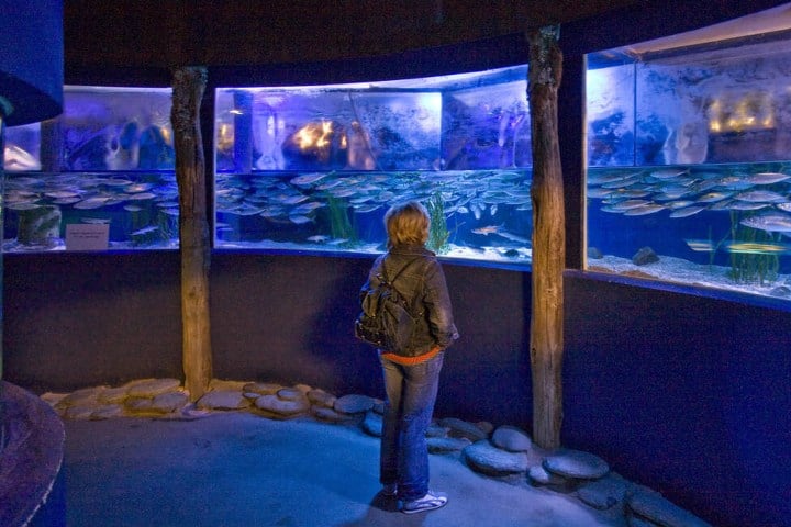4. SEA LIFE en Oberhausen, Alemania. Foto - Alamy