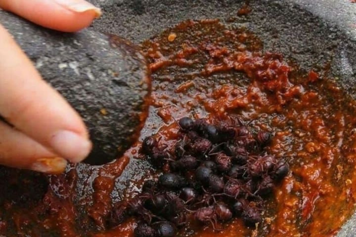 6. Salsa de chicatana. Foto - Gastrolab