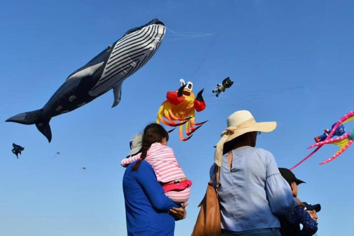 7. Visitantes en el Festival Costero. Foto - adcolima