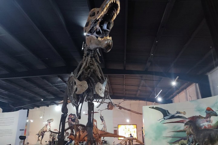 7. Museos de Historia Natural de Ecatepec. Foto - Brandon Ceballos