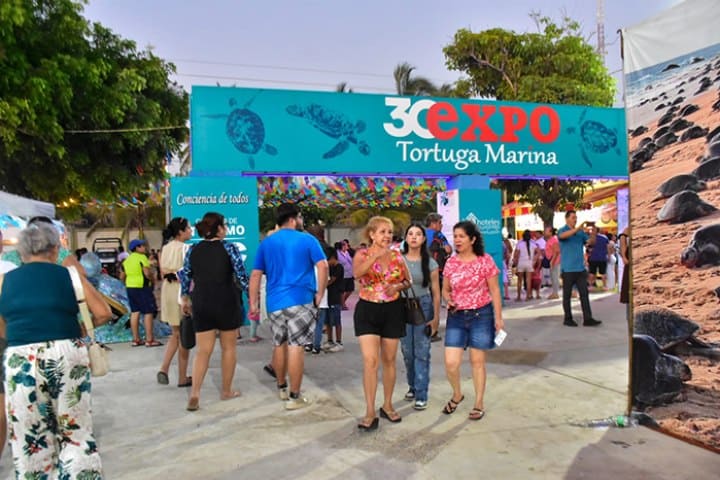 7. Expo Tortuga Marina en Michoacán, 2024. Foto - LaVozMichoacán