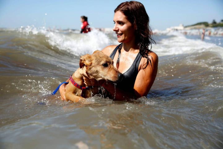 7. Mujer con su mascota en el mar. Foto - Alamy