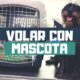 COMO VOLAR CON TU MASCOTA