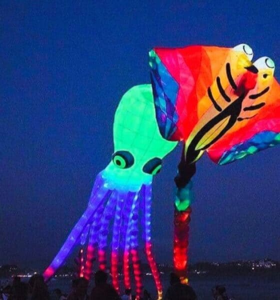 FESTIVAL COSTERO DE PAPALOTES EN MANZANILLO, COLIMA