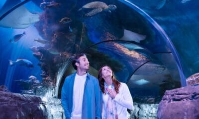 NUEVO ACUARIO DE SEA LIFE EN FLORIDA