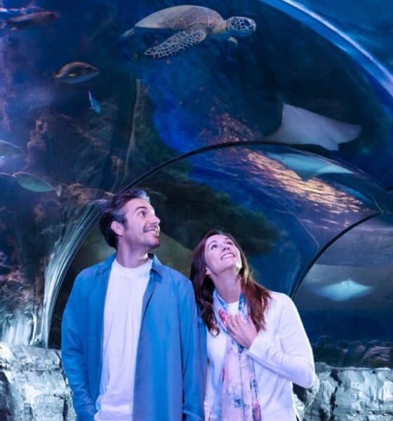NUEVO ACUARIO DE SEA LIFE EN FLORIDA