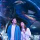 NUEVO ACUARIO DE SEA LIFE EN FLORIDA