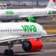 VIVA AEROBUS PRESENTA 4 NUEVAS RUTAS DESDE Y HACIA TIJUANA