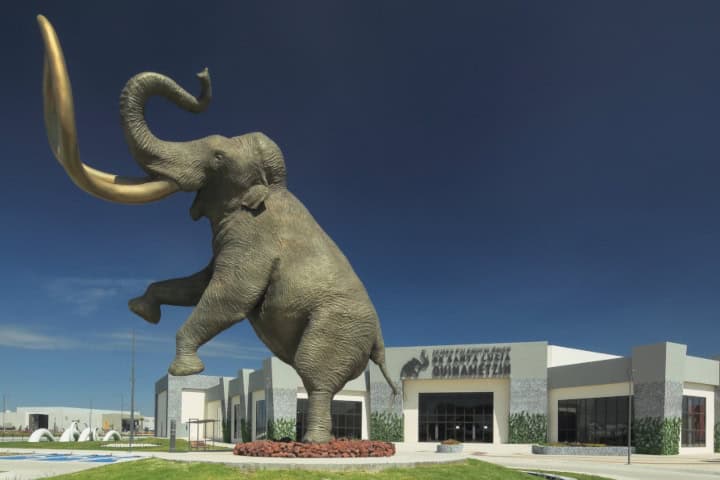 1. Museo Paleontológico de Santa Lucía. Foto - Sistema de Información Cultural