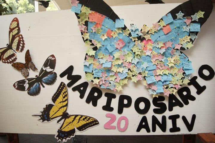 1. Entrada de exposición de 20 Aniversario del Mariposario de Chapultepec. Foto - Gus Espinosa