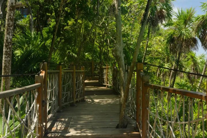 1. Kimpton Grand Roatan Resort en Honduras. Foto - Association Meetings International