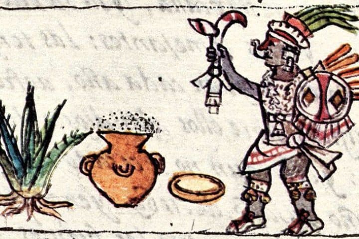 1. Ilustración de Mayahuel , diosa del maguey, con un agave maduro y una olla de pulque fermentado. Foto - Wikimedia Commons