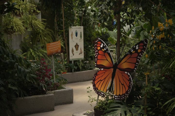 16. Camino en el Mariposario. Foto - Gus Espinosa