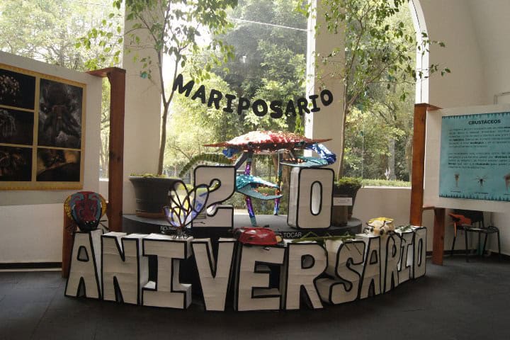 5. Exposición 20 Aniversario del Mariposario. Foto - Gus Espinosa